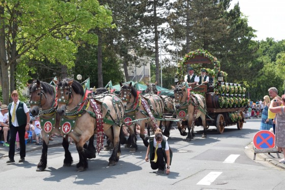 Bilder: Kirschenmarkt 2015, Bild 56 von 61