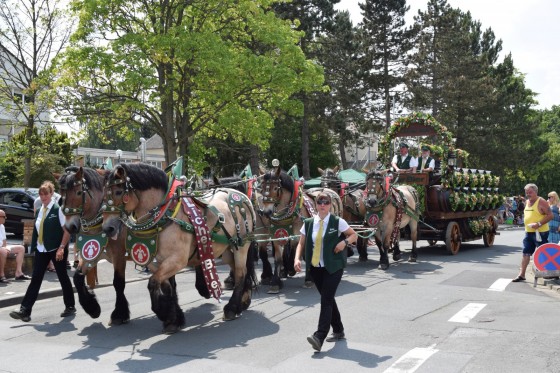 Bilder: Kirschenmarkt 2015, Bild 57 von 61