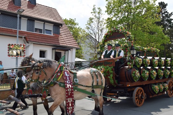 Bilder: Kirschenmarkt 2015, Bild 61 von 61