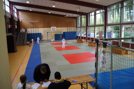 Bilder: Dragon-Randori 2015, Bild 1 von 38