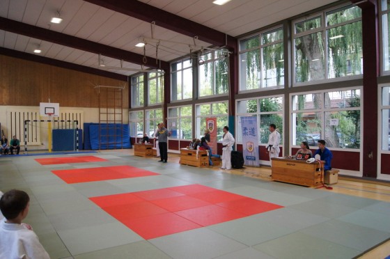 Bilder: Dragon-Randori 2015, Bild 6 von 38