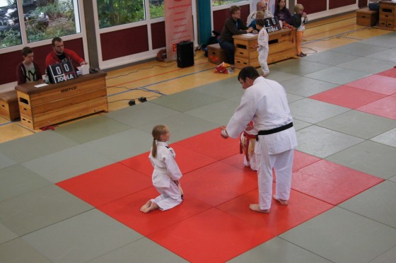 Bilder: Dragon-Randori 2015, Bild 7 von 38