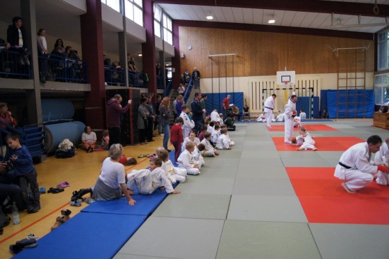 Bilder: Dragon-Randori 2015, Bild 8 von 38