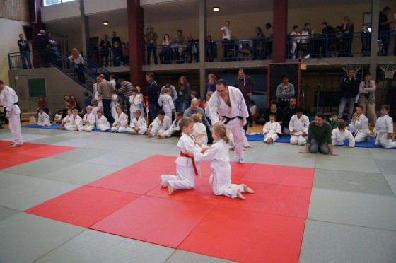 Bilder: Dragon-Randori 2015, Bild 23 von 38