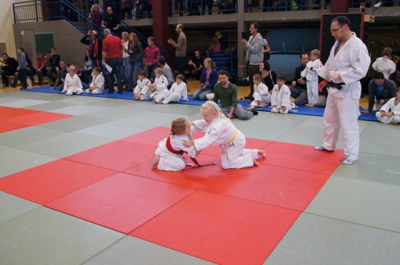 Bilder: Dragon-Randori 2015, Bild 24 von 38