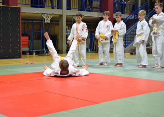 Bilder: Judo-Gürtelprüfung, Bild 3 von 6