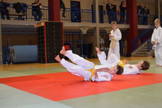Bilder: Judo-Gürtelprüfung, Bild 4 von 6