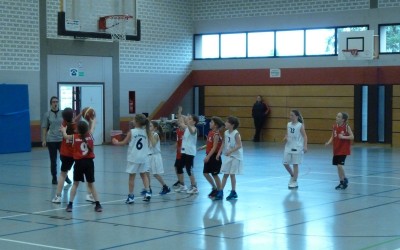 Spieltag: 30./31. Januar 2016