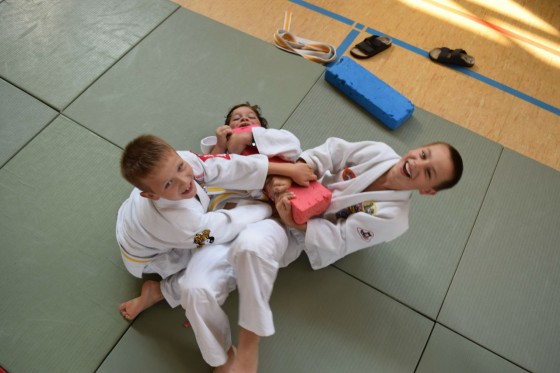 Bilder: Judo-Camp 2016, Bild 2 von 15