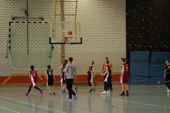 Bilder: Spieltag: 29.01.2017, Bild 12 von 30