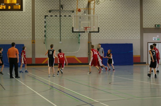 Bilder: Spieltag: 29.01.2017, Bild 5 von 30