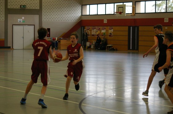 Bilder: Spieltag: 29.01.2017, Bild 6 von 30