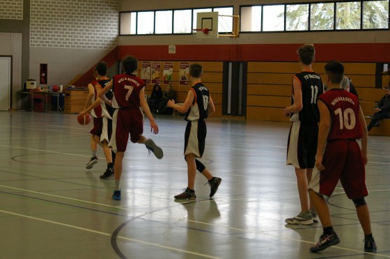 Bilder: Spieltag: 29.01.2017, Bild 7 von 30