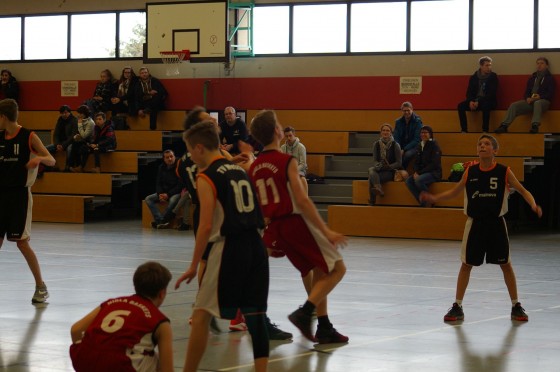 Bilder: Spieltag: 29.01.2017, Bild 9 von 30