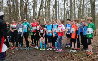 Kreiscrossmeisterschaften 2017 – Ergebnisse und Bilder