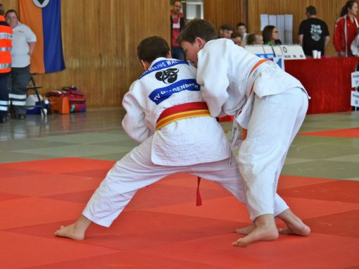 Bilder: Judo Big Bärchenpokal Hünfelden, Bild 2 von 14