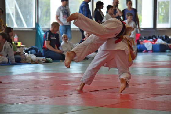 Bilder: Judo Big Bärchenpokal Hünfelden, Bild 5 von 14