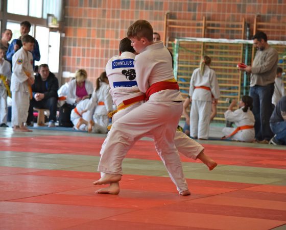 Bilder: Judo Big Bärchenpokal Hünfelden, Bild 6 von 14