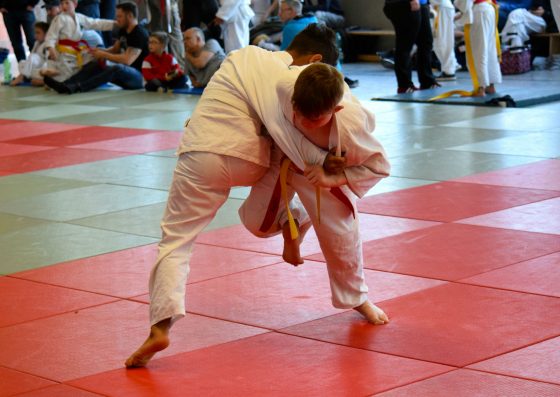 Bilder: Judo Big Bärchenpokal Hünfelden, Bild 9 von 14