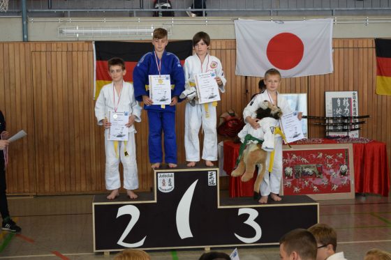 Bilder: Judo Big Bärchenpokal Hünfelden, Bild 13 von 14