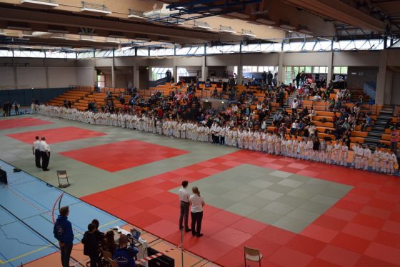 Bilder: Judo Bärenpokal/ Jelly Bears Turnier 2017, Bild 6 von 6