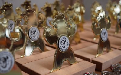 Judo Bärenpokal/ Jelly Bears Turnier 2017