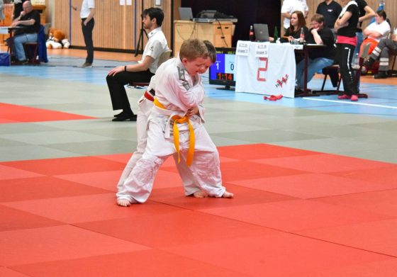 Bilder: Judo Bärenpokal/ Jelly Bears Turnier 2017, Bild 4 von 6