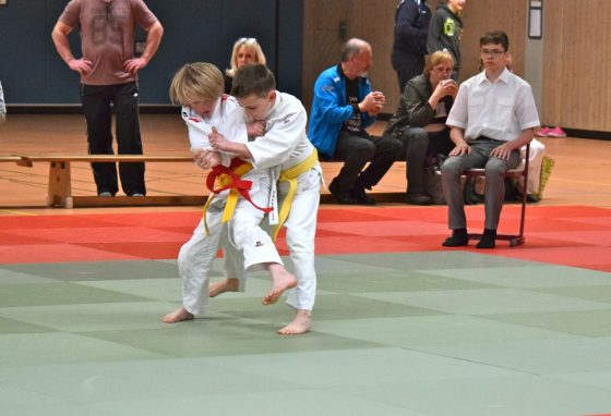 Bilder: Judo Bärenpokal/ Jelly Bears Turnier 2017, Bild 3 von 6