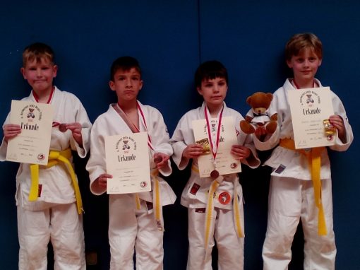 Bilder: Judo Bärenpokal/ Jelly Bears Turnier 2017, Bild 1 von 6