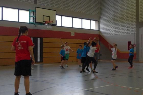 Bilder: Verein trifft Schule: Grundschulliga Basketball in zweiter Auflage, Bild 6 von 14