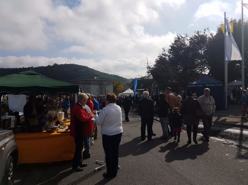 Bilder: Bilder vom Tag der Regionen 2017, Bild 3 von 56