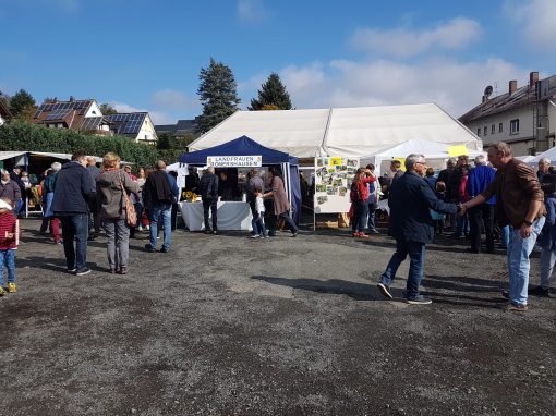 Bilder: Bilder vom Tag der Regionen 2017, Bild 4 von 56