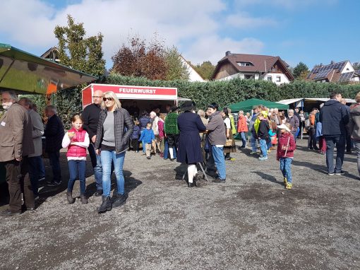 Bilder: Bilder vom Tag der Regionen 2017, Bild 5 von 56
