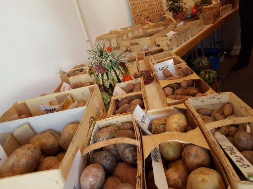 Bilder: Bilder vom Tag der Regionen 2017, Bild 22 von 56