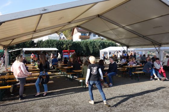 Bilder: Bilder vom Tag der Regionen 2017, Bild 46 von 56