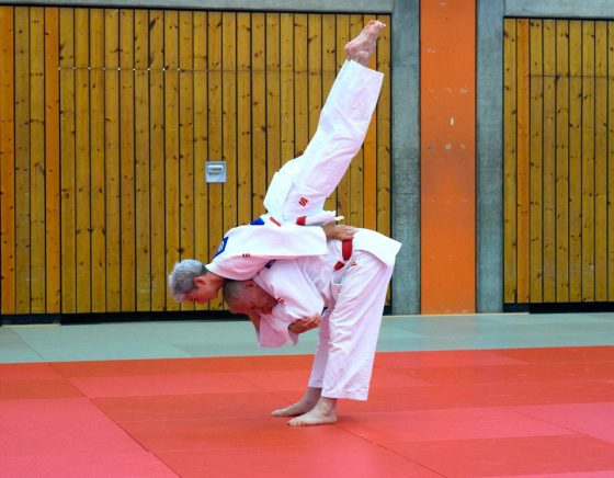 Bilder: TVG Judo-Trainer auf intern. Fortbildung, Bild 5 von 9