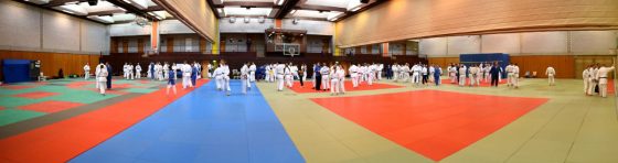 Bilder: TVG Judo-Trainer auf intern. Fortbildung, Bild 8 von 9