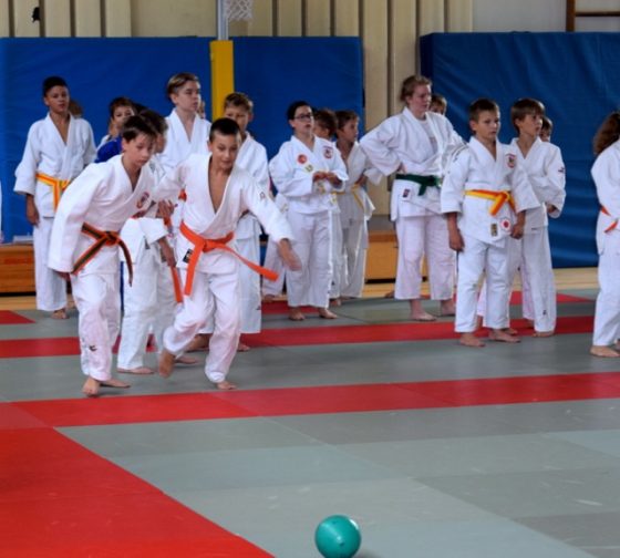 Bilder: Jubiläumsfeier 50 Jahre Judo Gladenbach, Bild 4 von 18