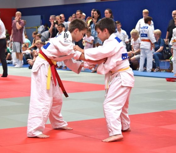 Bilder: Judo 14. Horst Sommer Gedächtnis Turnier, Bild 3 von 6