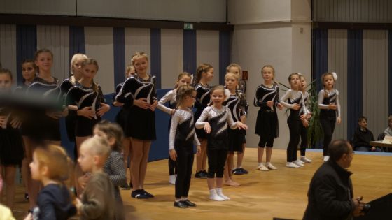Bilder: Leistungsturnen, Bild 5 von 20