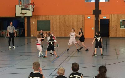 Spieltag 16.02.-17.02.19