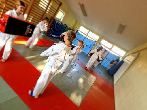 Bilder: Jiu Jitsu, Bild 1 von 14