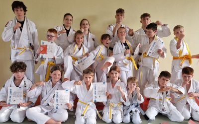 Bilder: Jiu Jitsu, Bild 9 von 14