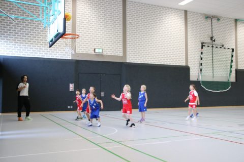Bilder: Baskets richten erstmals ein U8-Turnier aus, Bild 14 von 22