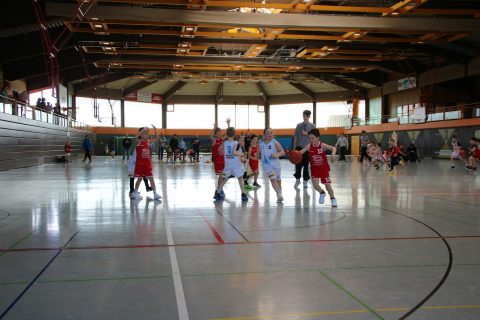 Bilder: Mini-Baskets in Limburg auf Korbjagd, Bild 9 von 17